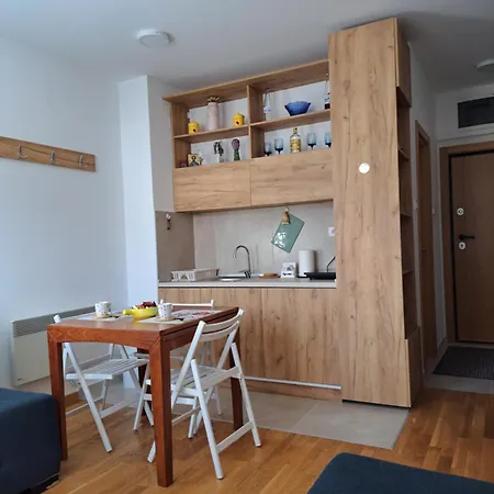 11 דירה קופאוניק